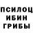 Галлюциногенные грибы мицелий Jalicia Ruiz
