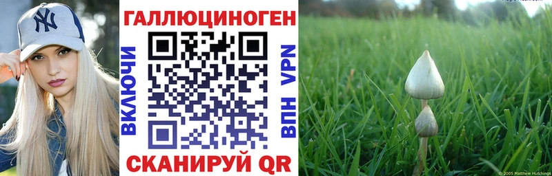 Галлюциногенные грибы MAGIC MUSHROOMS  Тобольск 