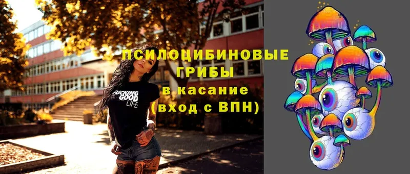 Псилоцибиновые грибы Magic Shrooms  купить   Тобольск 