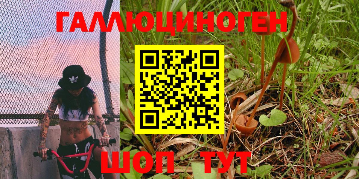 Галлюциногенные грибы ЛСД  Тобольск  Галлюциногенные грибы прущие грибы 