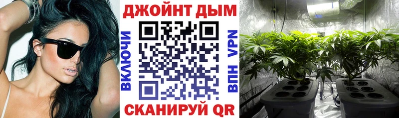 купить закладку  Тобольск  Каннабис сатива 